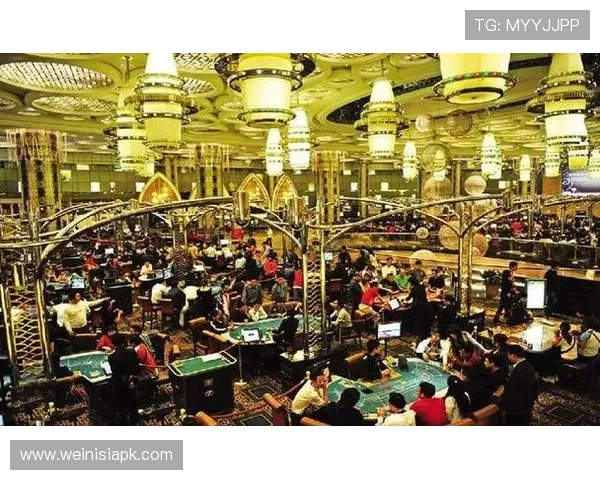 澳门十大博彩排行榜权威发布，揭秘最受玩家欢迎的博彩娱乐场所排名情况